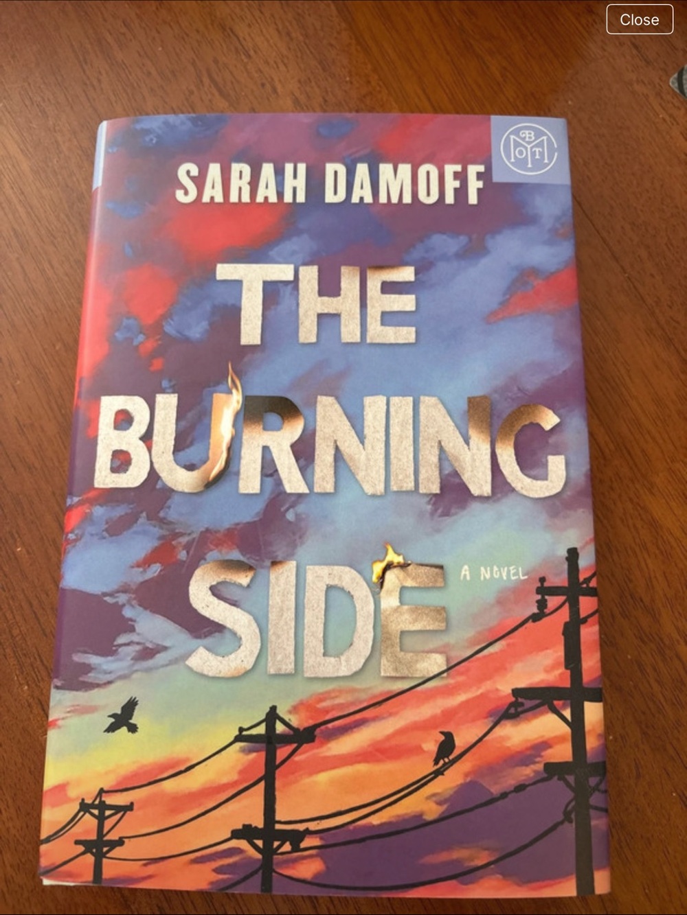 BOTM The Burning Side Book